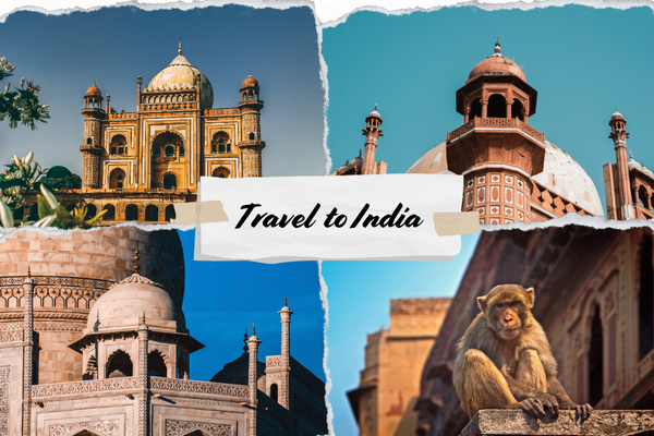 Luxury India Travel Packages with Guide